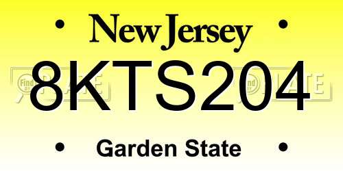 8KTS204 New Jersey License Plate