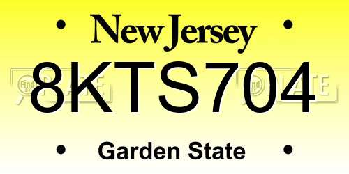 8KTS704 New Jersey License Plate