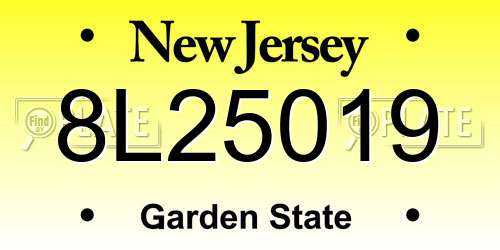 8L25019 New Jersey License Plate