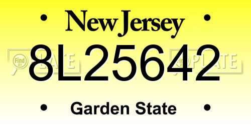 8L25642 New Jersey License Plate