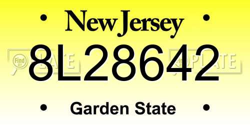 8L28642 New Jersey License Plate