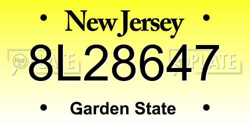 8L28647 New Jersey License Plate