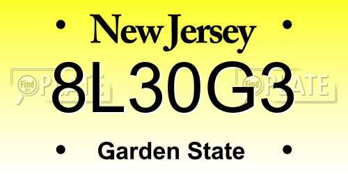 8L30G3 New Jersey License Plate