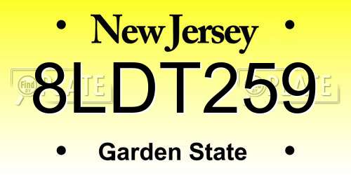 8LDT259 New Jersey License Plate