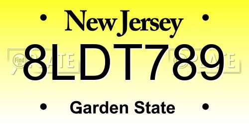 8LDT789 New Jersey License Plate