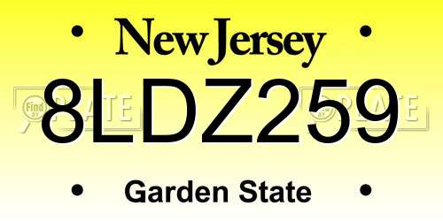 8LDZ259 New Jersey License Plate