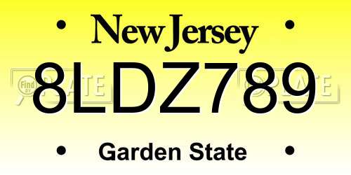 8LDZ789 New Jersey License Plate