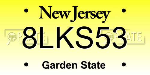 8LKS53 New Jersey License Plate