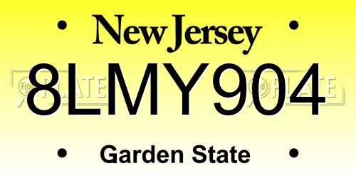 8LMY904 New Jersey License Plate