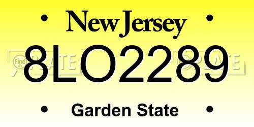 8LO2289 New Jersey License Plate