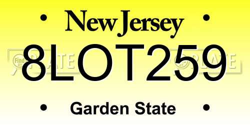 8LOT259 New Jersey License Plate