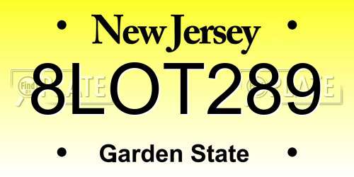 8LOT289 New Jersey License Plate