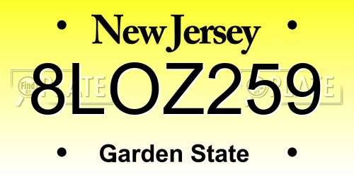 8LOZ259 New Jersey License Plate