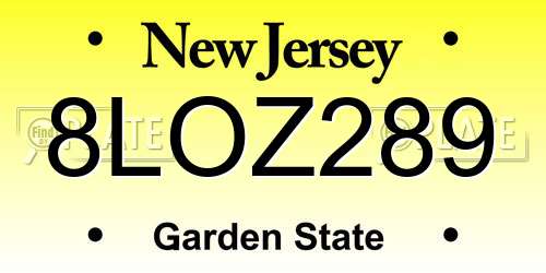 8LOZ289 New Jersey License Plate