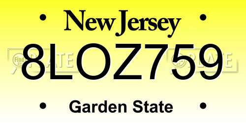 8LOZ759 New Jersey License Plate