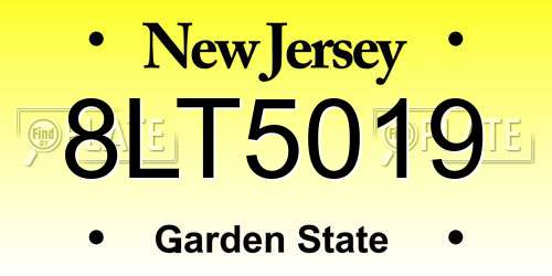8LT5019 New Jersey License Plate