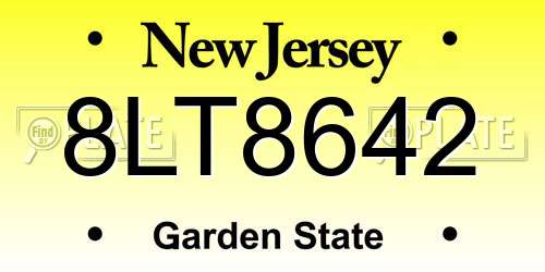 8LT8642 New Jersey License Plate