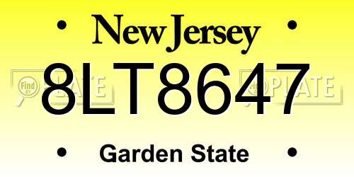 8LT8647 New Jersey License Plate