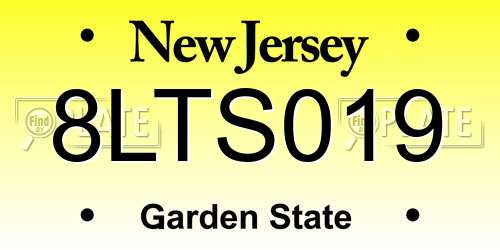 8LTS019 New Jersey License Plate