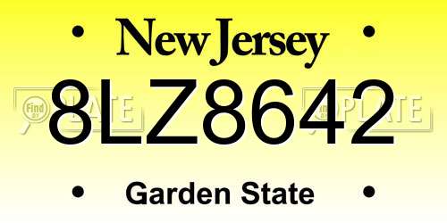 8LZ8642 New Jersey License Plate