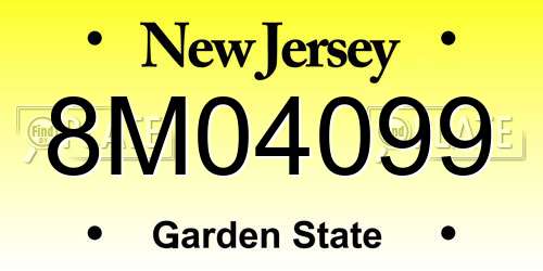 8M04099 New Jersey License Plate