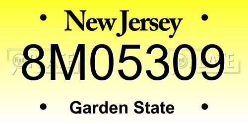 8M05309 New Jersey License Plate