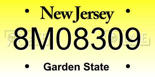 8M08309 New Jersey License Plate