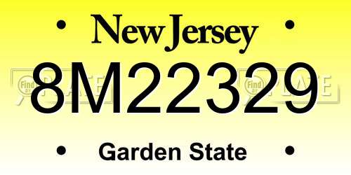 8M22329 New Jersey License Plate