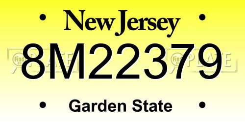 8M22379 New Jersey License Plate