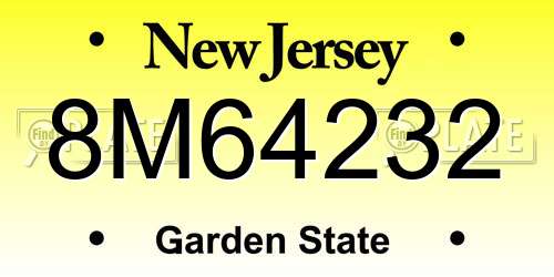 8M64232 New Jersey License Plate