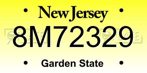8M72329 New Jersey License Plate