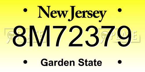 8M72379 New Jersey License Plate