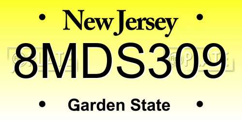 8MDS309 New Jersey License Plate