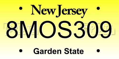 8MOS309 New Jersey License Plate