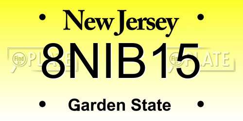 8NIB15 New Jersey License Plate