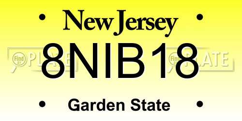 8NIB18 New Jersey License Plate