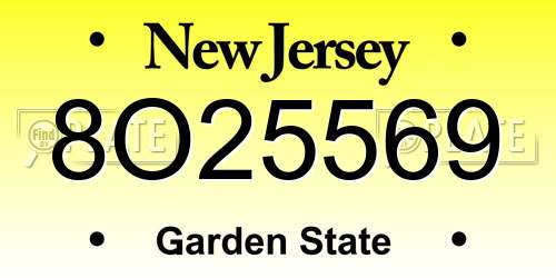 8O25569 New Jersey License Plate