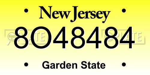 8O48484 New Jersey License Plate