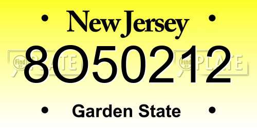 8O50212 New Jersey License Plate