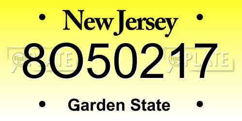 8O50217 New Jersey License Plate