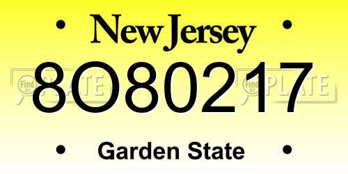 8O80217 New Jersey License Plate