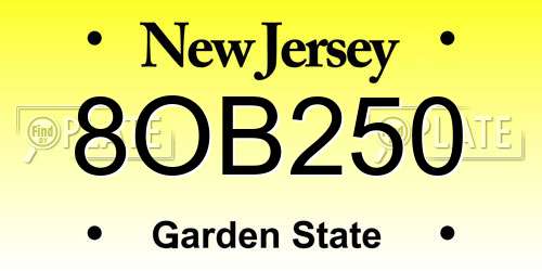 8OB250 New Jersey License Plate