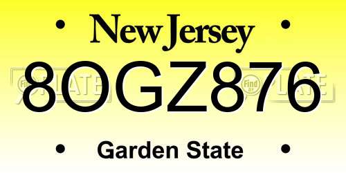 8OGZ876 New Jersey License Plate