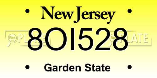 8OI528 New Jersey License Plate