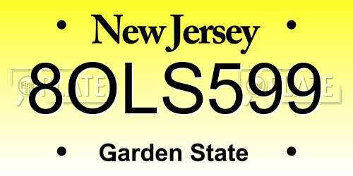 8OLS599 New Jersey License Plate