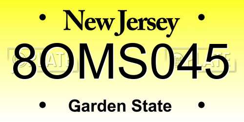 8OMS045 New Jersey License Plate