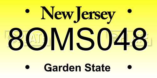 8OMS048 New Jersey License Plate