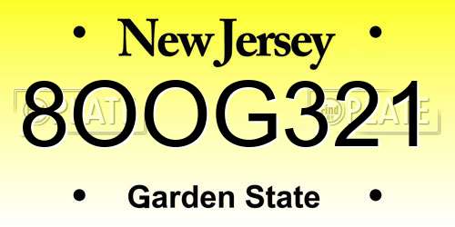 8OOG321 New Jersey License Plate