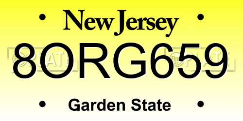 8ORG659 New Jersey License Plate