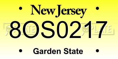 8OS0217 New Jersey License Plate